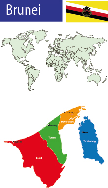 brunei haritası