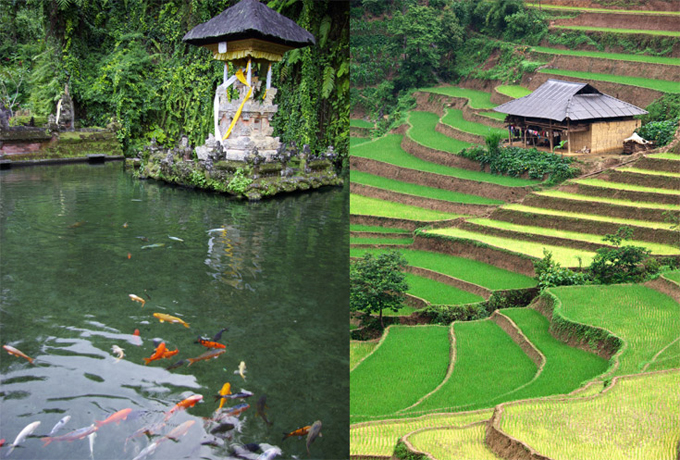 bali, ayodya palace