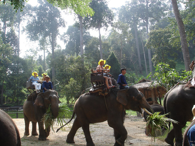 chiang mai, tayland